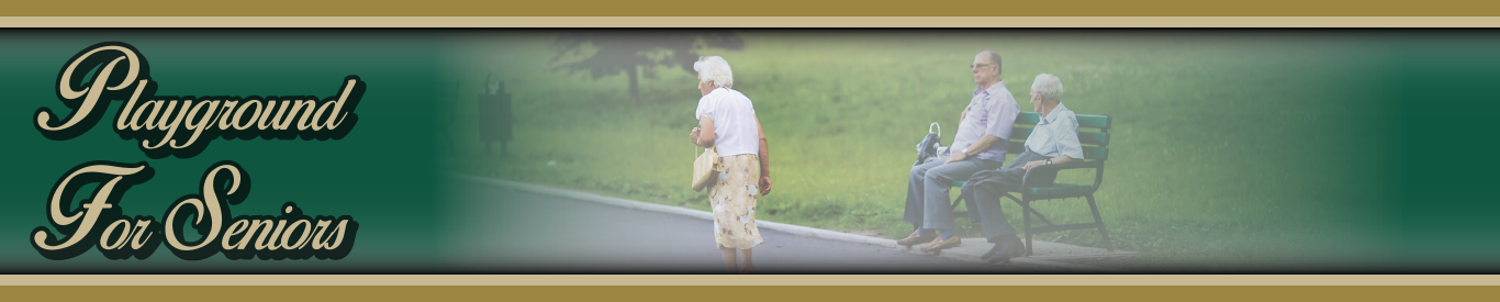 Playground For Seniors Header